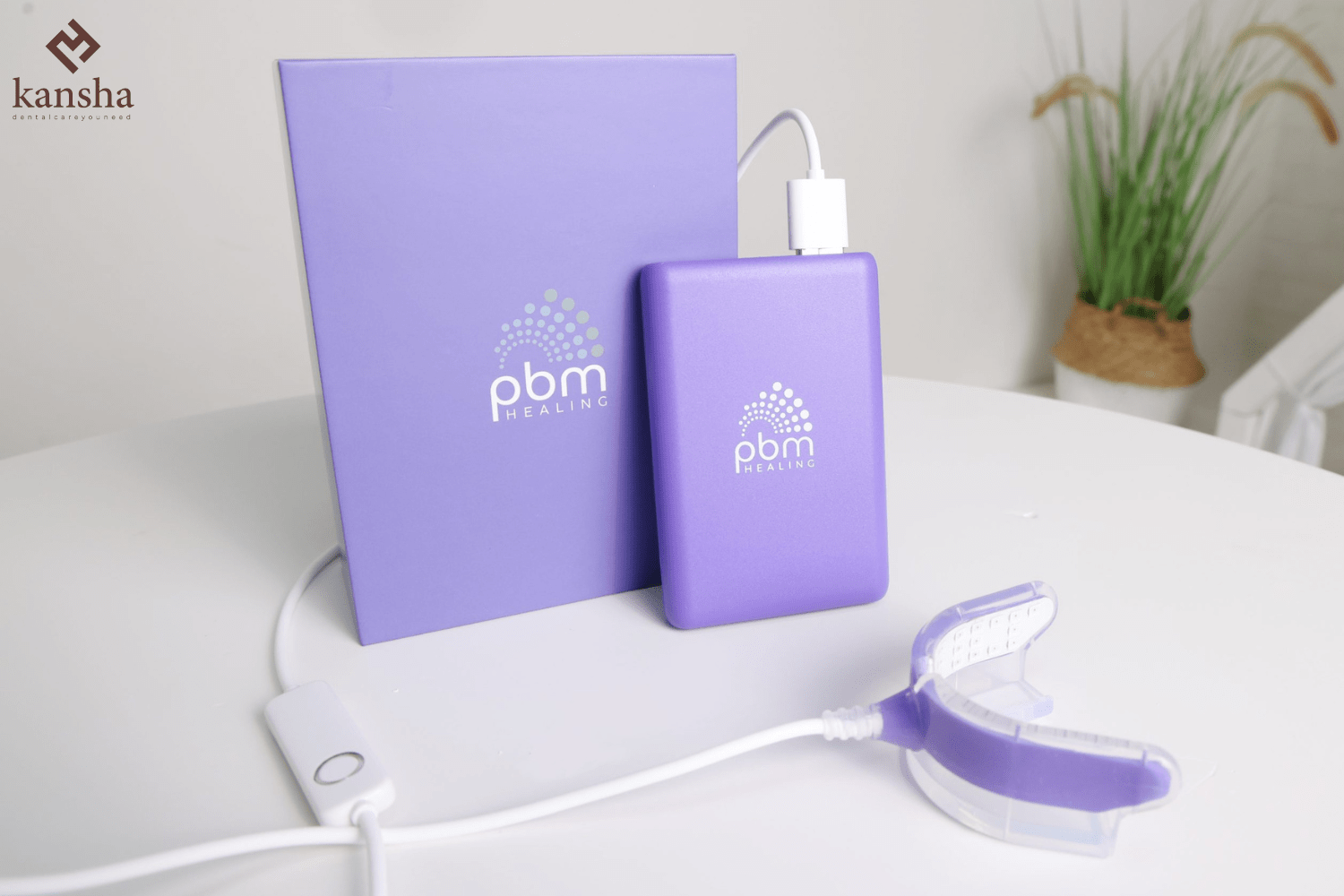 PBM HEALING (1)