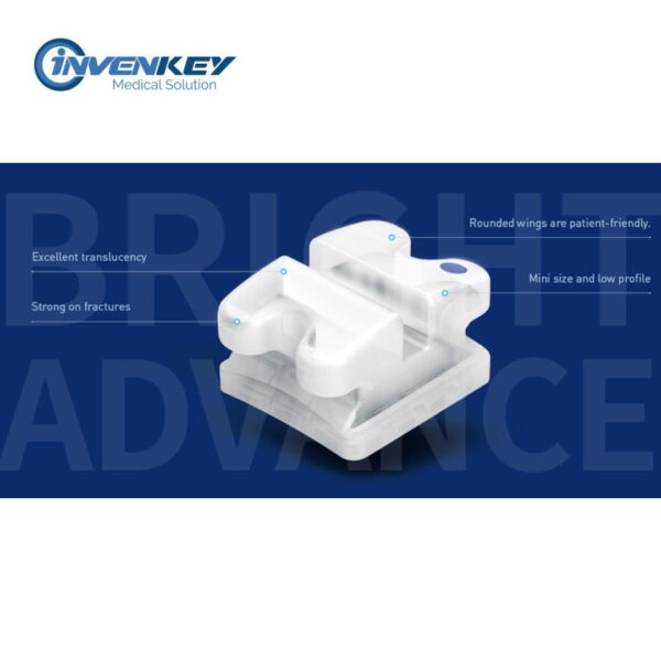 MẮC CÀI SỨ THƯỜNG - WBT KOREA