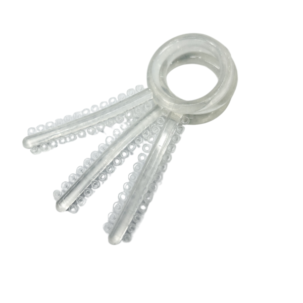 CHUN RỜI WBT – KOREA