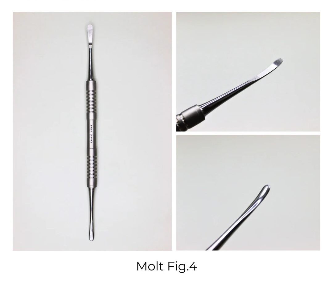 Cây Bóc Tách Nướu MOLT FIG